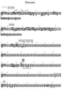 Sheet Music - Parcuma in E - Various Artist